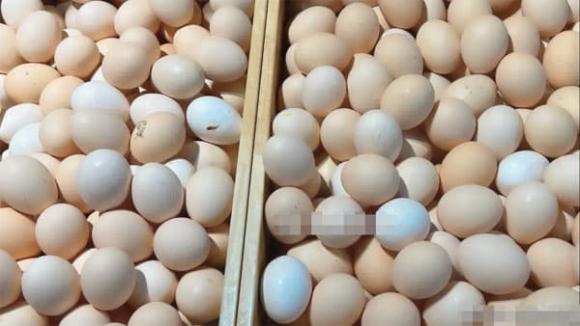 Đừng mua 4 loại trứng này nữa,, hôm nay tôi mới biết nếu ở nhà có thì không nên ăn