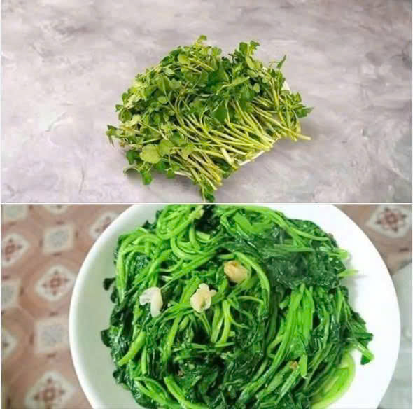 Loại rau rẻ bèo ở Việt Nam được nước Mỹ chấm 10 điểm, tốt ngang thịt bò