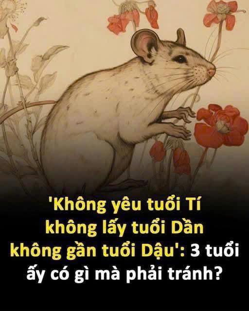 Không yêu tuổi Tý, không lấy tuổi Dần, không gần tuổi Dậu, tại sao?