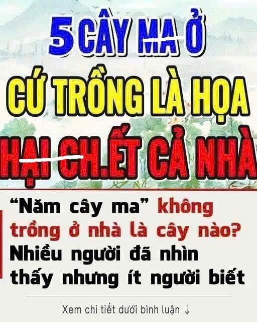 Năm cây m a không trồng ở nhà là năm loại cây nào? Ngoài đời nhiều người đã nhìn thấy nhưng ít người biết